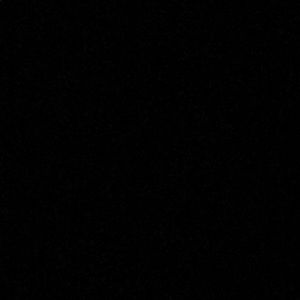 Meet your Posher, Owen